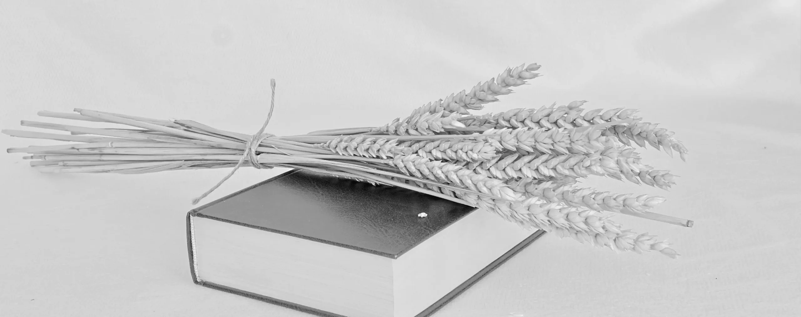 Hellsehen in Zug - Wissenschaftliche Perspektiven
